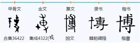 博字五行|博字五行属什么